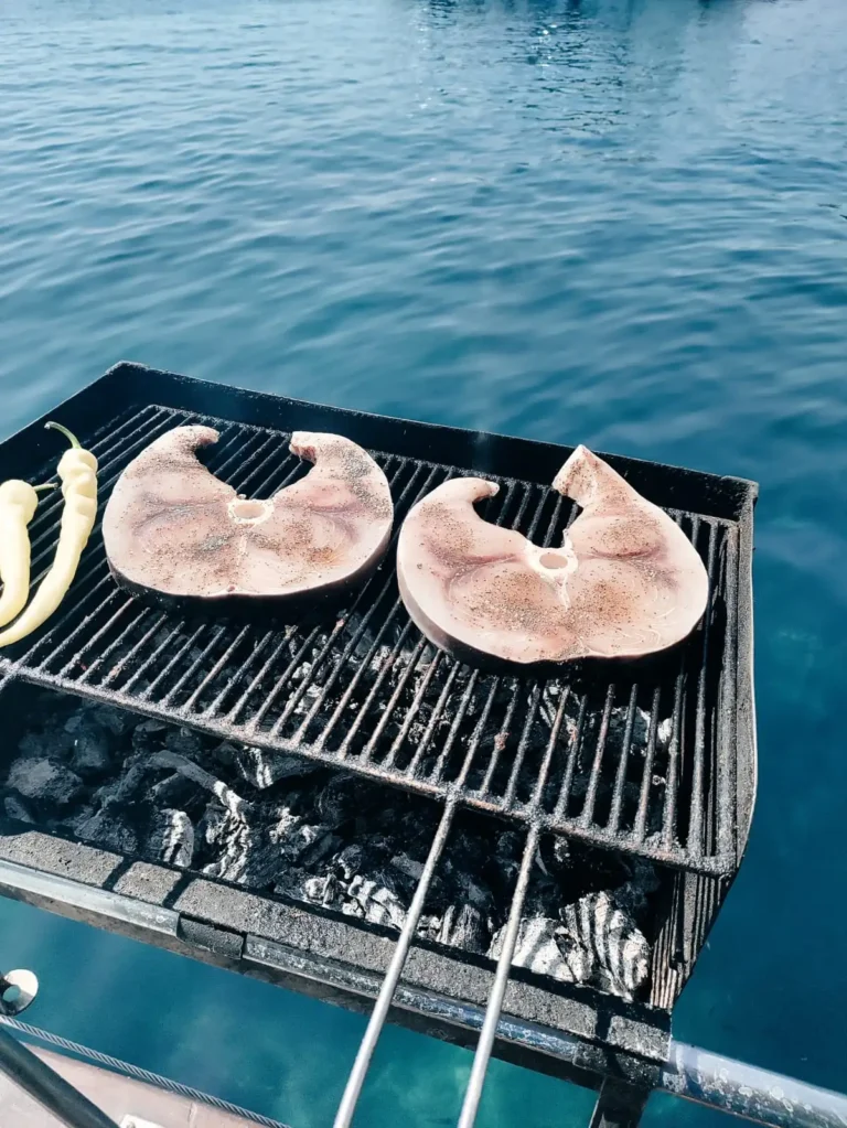 wooden sailing 40 guests φωτο barbeuce 6 (4)